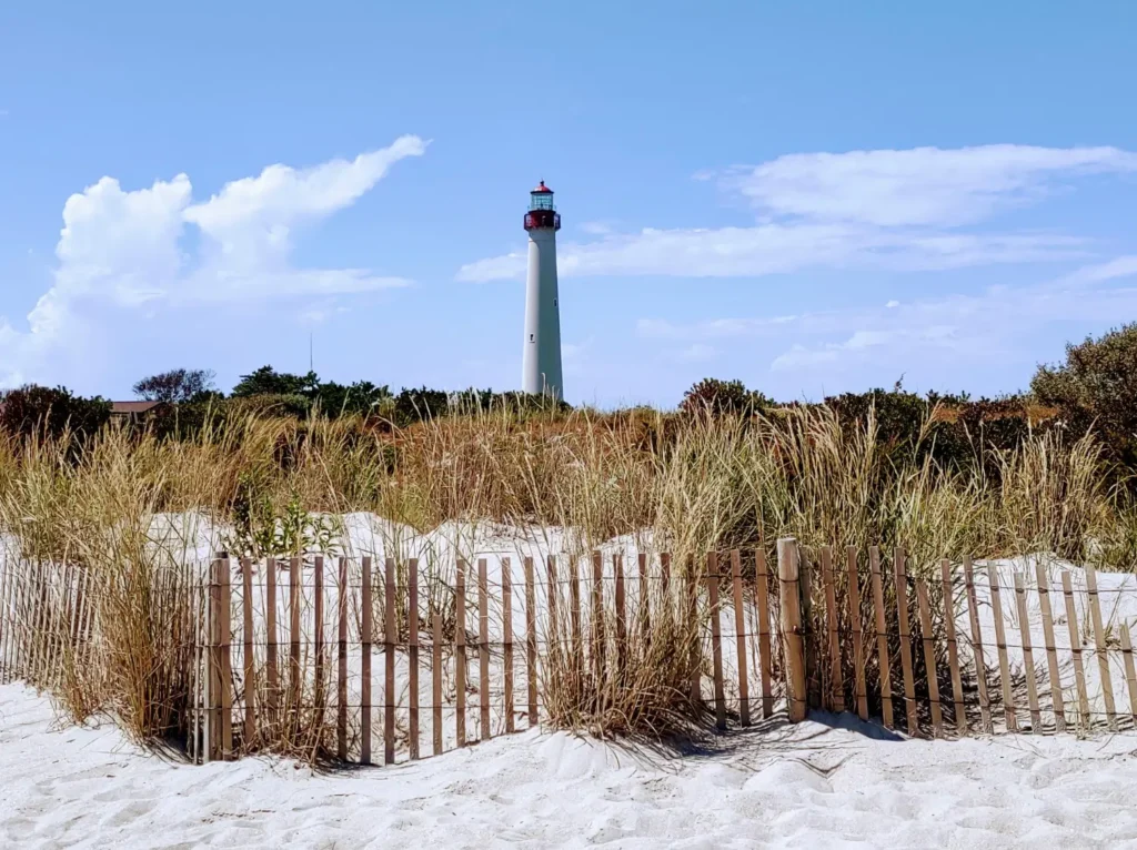 cape cod